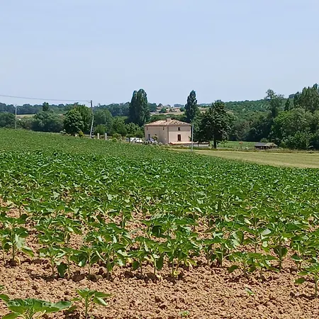 La Maison Florale * Moulinet (Lot-et-Garonne)